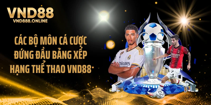 Các bộ môn cá cược đứng đầu bảng xếp hạng thể thao VND88