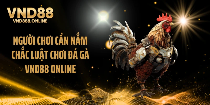 Người chơi cần nắm chắc luật chơi đá gà VND88 online