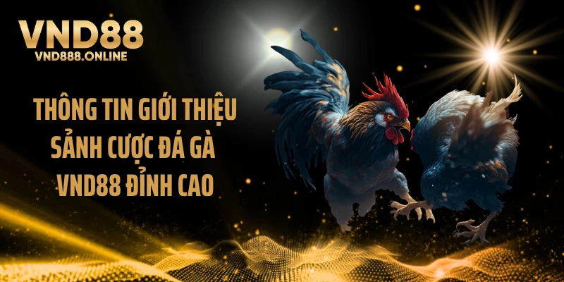 Thông tin giới thiệu sảnh cược đá gà VND88 đỉnh cao